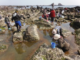 波がある外海に面する