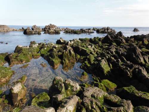 冬の真鶴半島　三ッ石海岸の画像01