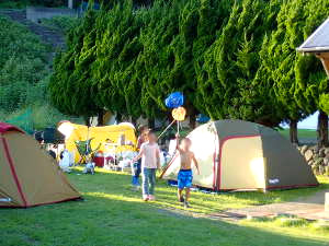  夏キャンプの画像