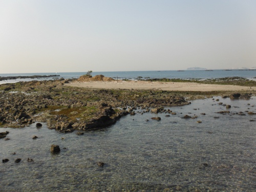 芝崎海岸の北側(海岸向って右）の画像01