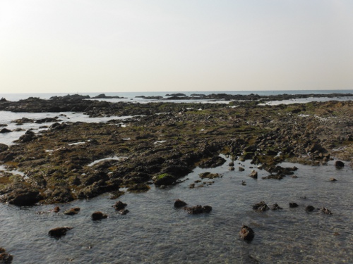 芝崎海岸の南側(海岸向って左）の画像02