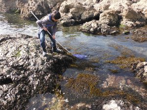 冬の真鶴半島　芝崎海岸