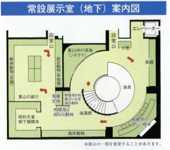 葉山しおさい博物館の画像02