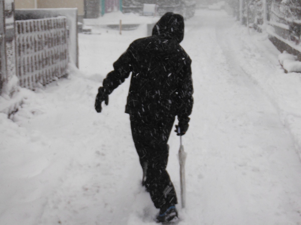 首都圏の大雪