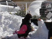 雪遊びの画像46