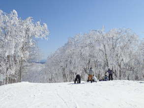 頂上の稗田山入山口の樹氷の画像03