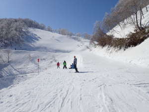 稗田山林間コースの画像12