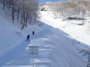 稗田山林間コースの中間付近の画像13