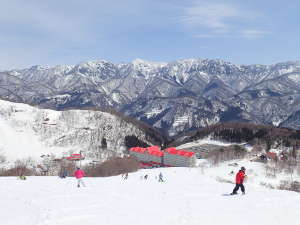 コルチナ景色の象徴、一本松コースの画像18