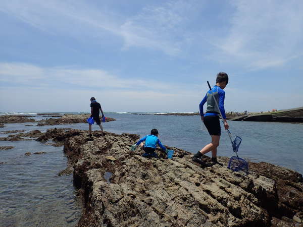 御前崎海岸で磯遊びを楽しむ(2018/06/17：中潮　干潮時　晴れ）の画像01