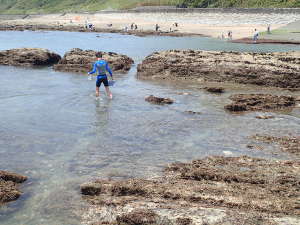 遠州灘側は、磯と言うより遠浅の海の画像04