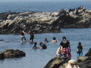 様々なスタイルでシュノーケリングを楽しむの画像02