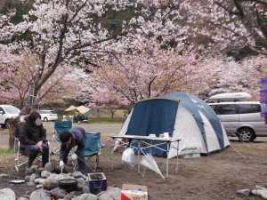 花見キャンプの画像1105