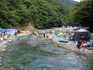 唐沢キャンプ場：紹介Ｄエリア① 