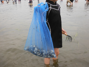 海の公園の画像08