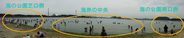 海の公園のエリアと施設の画像09