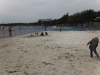 砂浜を利用した子供用遊び場の画像17