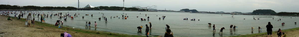 潮干狩り(2)：海の公園の表紙イメージ画像