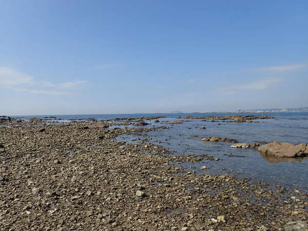 人も少なくなってきた秋の葉山　芝崎海岸(江ノ島側）(2014/10/25日：大潮）の画像1301