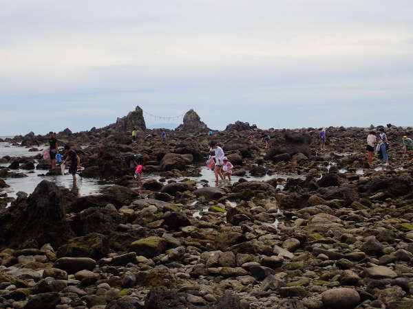 8月中旬、多くの人が磯遊びに訪れる真鶴半島　三ッ石海岸（2014/8/24日：大潮）の画像1301