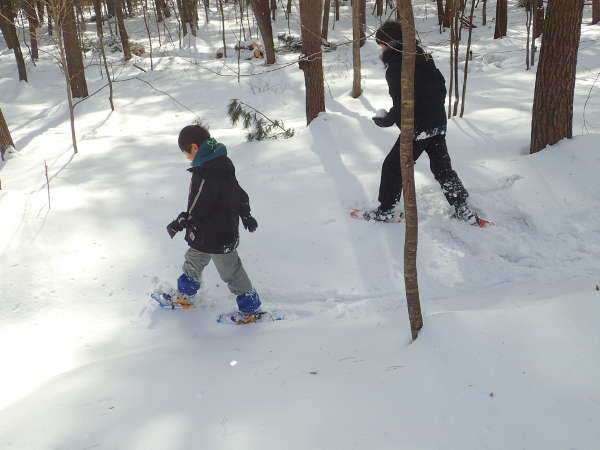 真白な森の中をスノーシューで歩く（国営アルプスあづみの公園：2015/02/14）の画像01