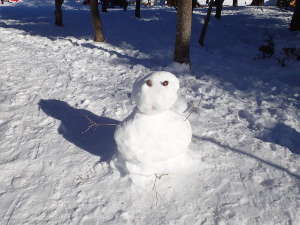 誰かが雪だるまをの画像17