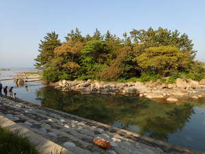 小さな島「松島」の画像02