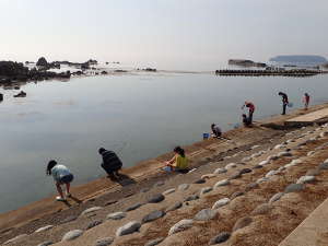 護岸海岸からの網すくいはおもしろいの画像08