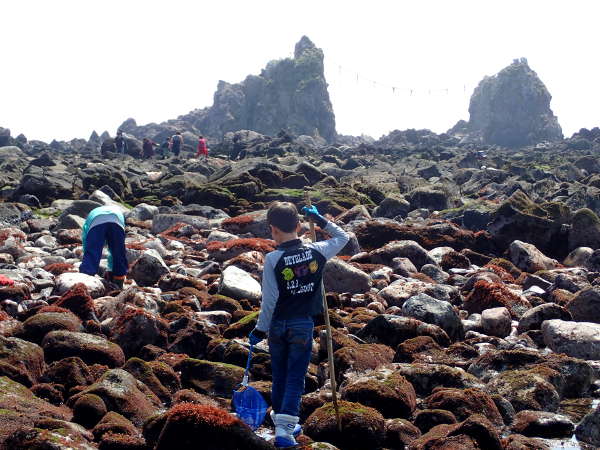 磯遊びの人がやってくる真鶴半島「三ッ石」(2015/03/22日：大潮）の画像201501