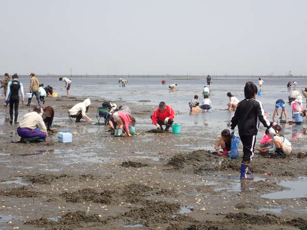 家族連れで、にぎわう木更津　牛込海岸の画像01