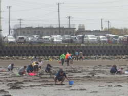 駐車場前は潮干狩り場。の画像21