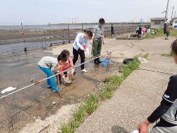 海水蛇口場②の画像26