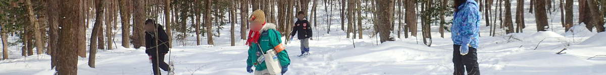 雪あそび(7):スノーシューで冬の森を歩くの表紙イメージ画像