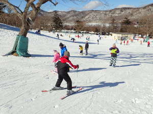 親が子どもにスキーを教えているのが目立つの画像06