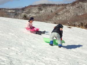ソリは、子どもたちの雪遊びNo.1の画像09
