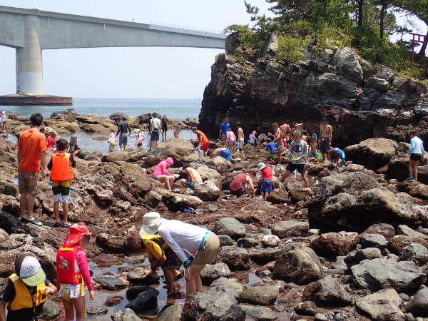 岩海岸で磯遊びを楽しむ子どもたち(2015/08/02日：大潮）の画像01
