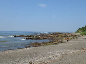 砂浜と磯からなる長浜海岸の画像02