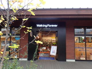 Walking Foreverの画像22