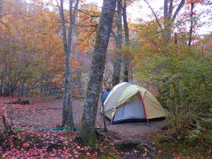 紅葉が楽しめるキャンプサイトの画像03