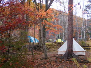 紅葉が楽しめるキャンプサイトの画像04
