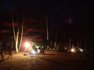 秋キャンプの画像2808