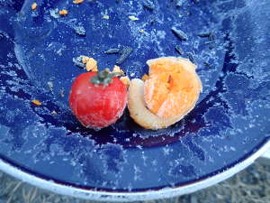 ミニトマトとゆでたまごの画像2909