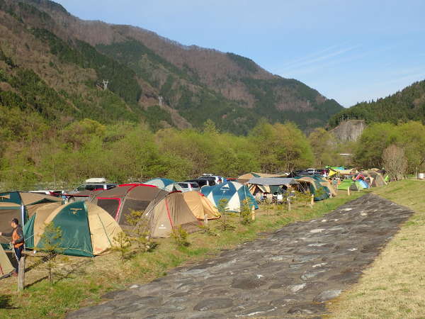 さまざまな種類のテントが並ぶ（奥飛騨温泉郷オートキャンプ場：2017/05/05）の画像01