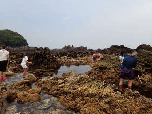 三ッ石前の海岸側の磯の画像06