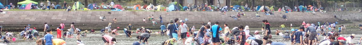 潮干狩り(4)横浜市金沢区　野島海岸の表紙イメージ画像