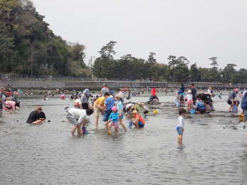 野島海岸　北側エリアの画像03