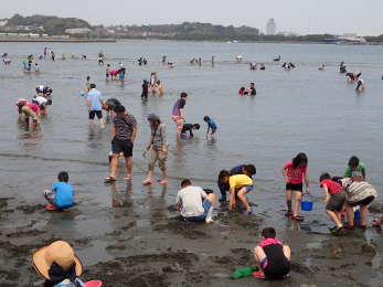 野島海岸　中央エリアの画像04