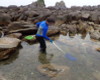 磯遊び(25)