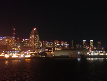 臨港パークエリアの夜景