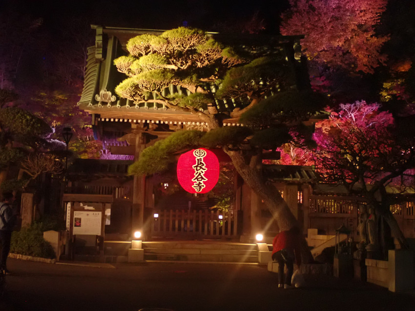 秋の夜間特別拝観時の長谷寺正門